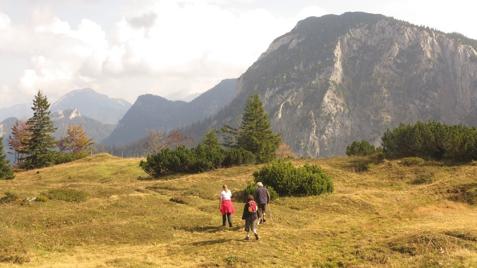 Bergtour Buchberg Wildalpen - Touren-Impression #2.9 | © TV Gesäuse