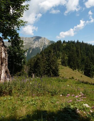 Alpintour Hochkar Dürrenstein | Christian Scheucher | © Tourismusverband Wildalpen