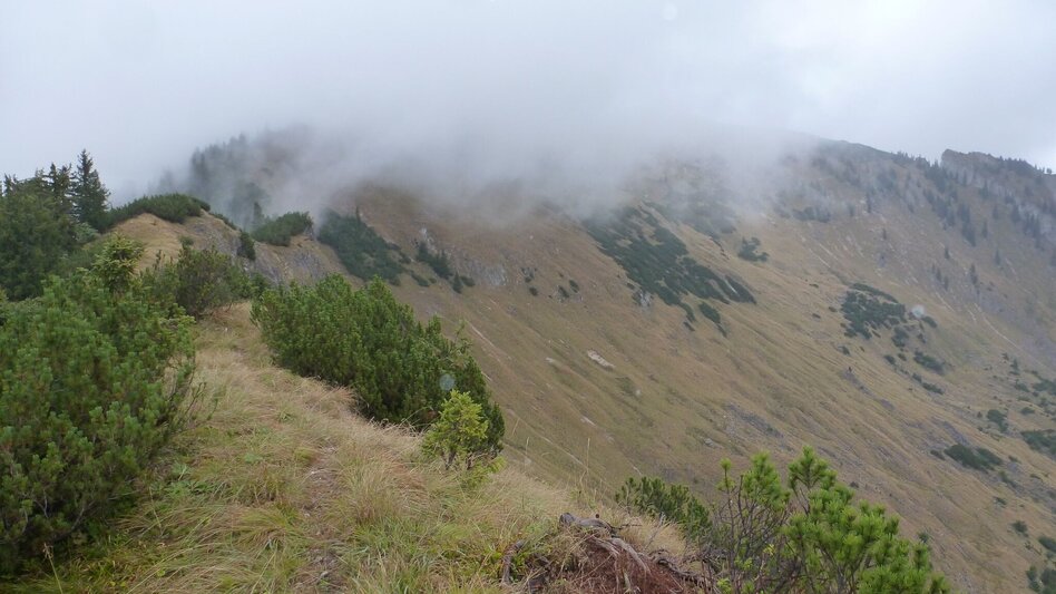 Bergtour Dürrenstein  von Wildalpen - Touren-Impression #2.2 | © Tourismusverband Wildalpen