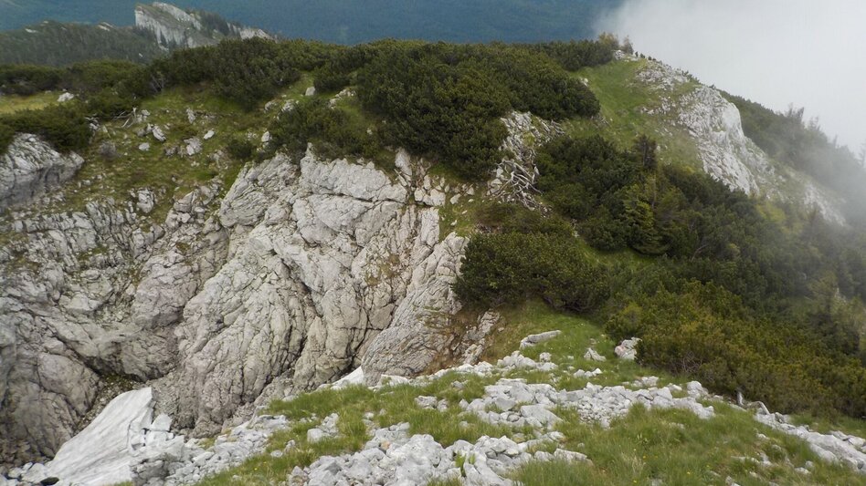 Bergtour Dürrenstein  von Wildalpen - Touren-Impression #2.3 | © Tourismusverband Wildalpen