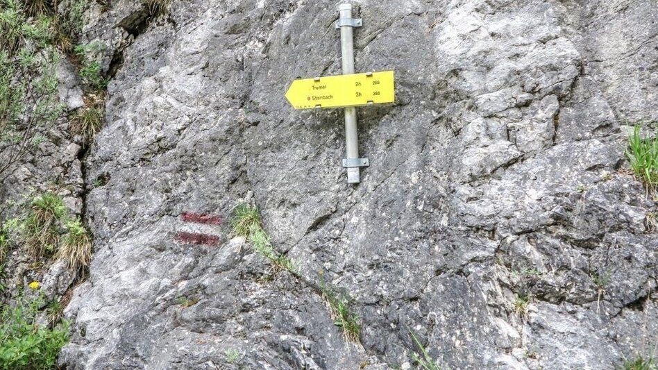 Bergtour Dürrenstein  von Wildalpen - Touren-Impression #2.5 | © TV Gesäuse