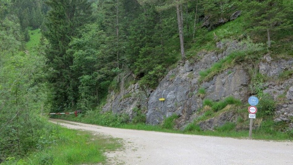 Bergtour Dürrenstein  von Wildalpen - Touren-Impression #2.6 | © TV Gesäuse