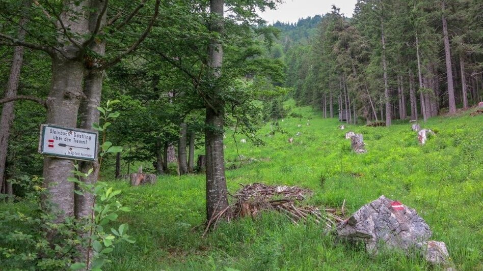 Bergtour Dürrenstein  von Wildalpen - Touren-Impression #2.7 | © TV Gesäuse