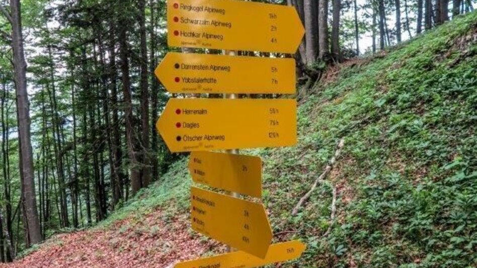 Bergtour Dürrenstein  von Wildalpen - Touren-Impression #2.8 | © TV Gesäuse