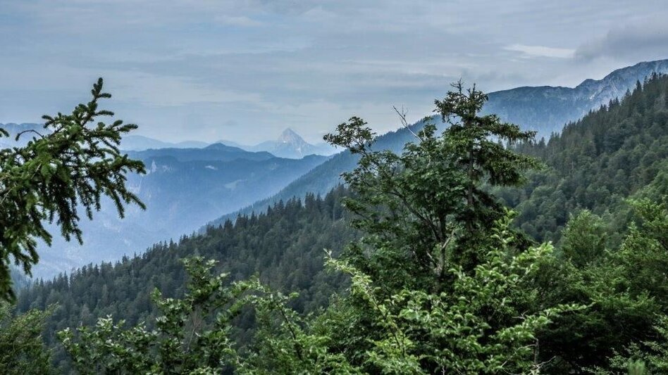 Bergtour Dürrenstein  von Wildalpen - Touren-Impression #2.10 | © TV Gesäuse