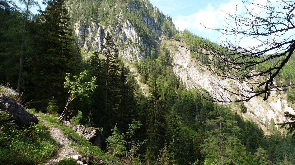 Mountain Hike Hinterwildalpen - Eisenerz - Touren-Impression #2.1 | © Tourismusverband Wildalpen