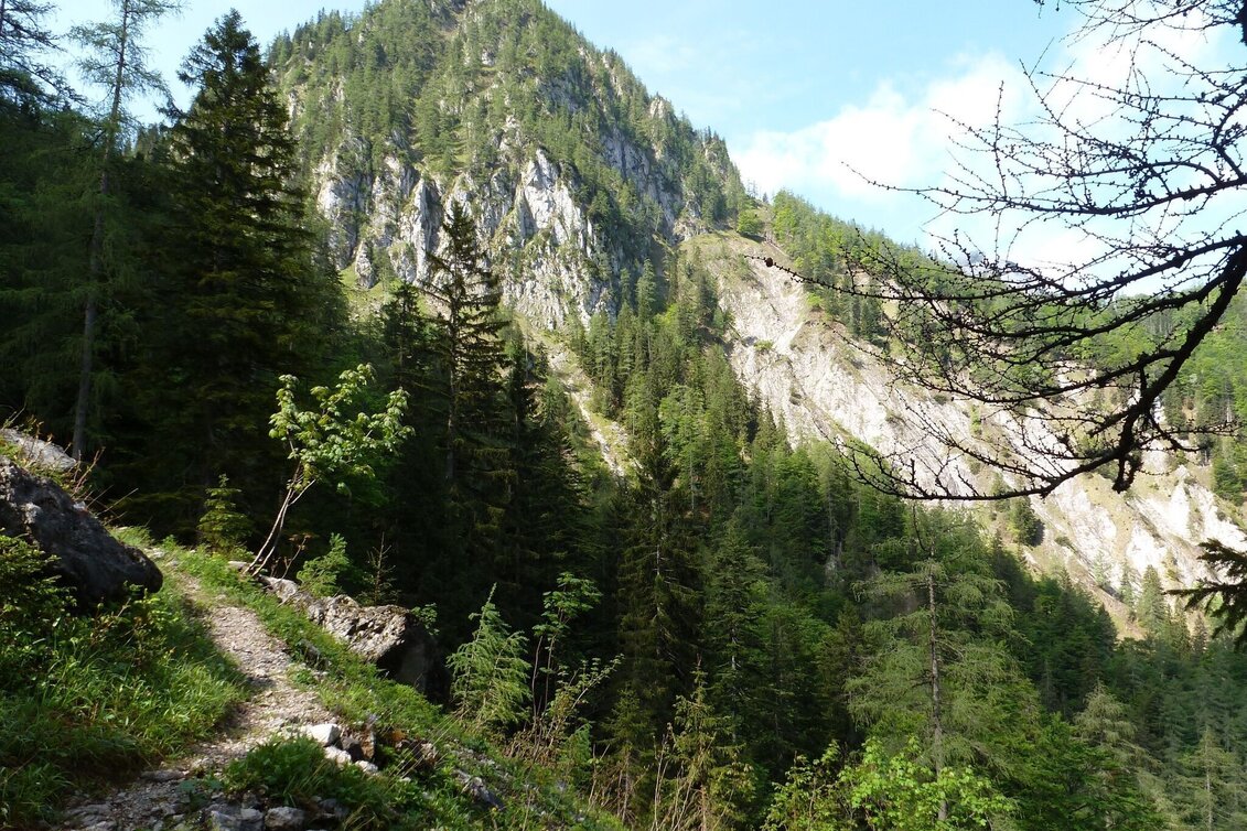 Mountain Hike Hinterwildalpen - Eisenerz - Touren-Impression #1 | © Tourismusverband Wildalpen
