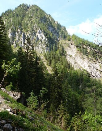 Abstieg Hinterwildalpen Eisenerzer Höhe | Christian Scheucher | © Tourismusverband Wildalpen