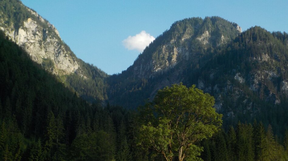Mountain Hike Hinterwildalpen - Eisenerz - Touren-Impression #2.3 | © Tourismusverband Wildalpen