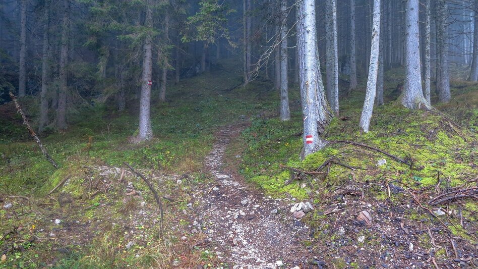 Mountain Hike Hinterwildalpen - Eisenerz - Touren-Impression #2.7 | © TV Gesäuse