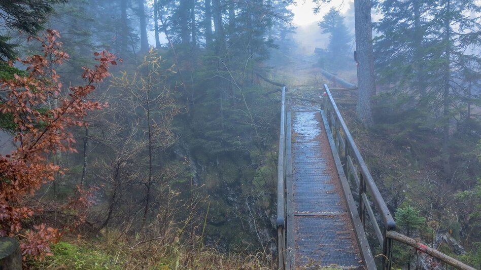 Mountain Hike Hinterwildalpen - Eisenerz - Touren-Impression #2.8 | © TV Gesäuse