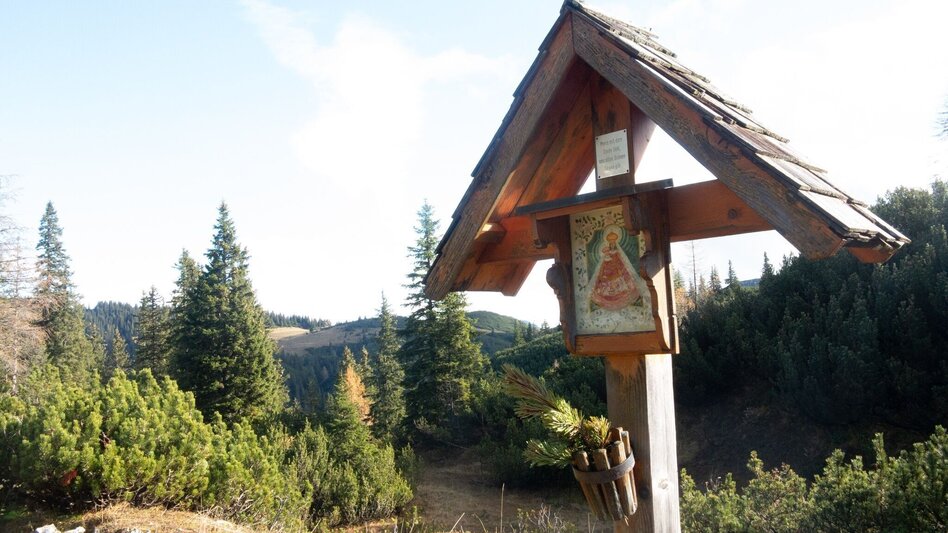 Mountain Hike Hinterwildalpen - Eisenerz - Touren-Impression #2.11 | © TV Gesäuse