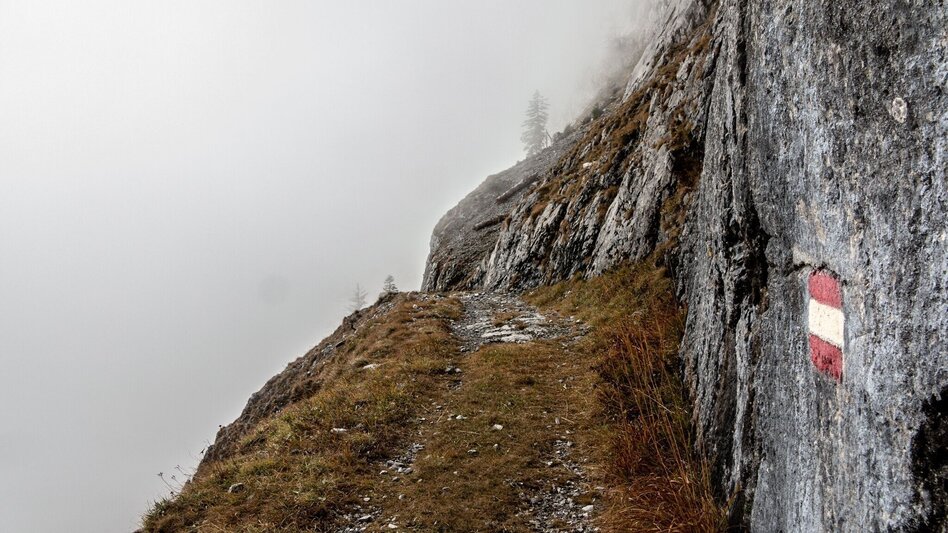 Mountain Hike Hinterwildalpen - Eisenerz - Touren-Impression #2.13 | © TV Gesäuse