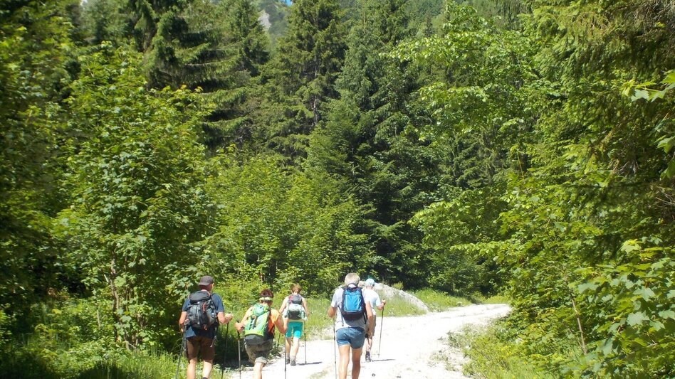 Bergtour Goss Hinterwildalpen - Touren-Impression #2.1 | © Tourismusverband Wildalpen