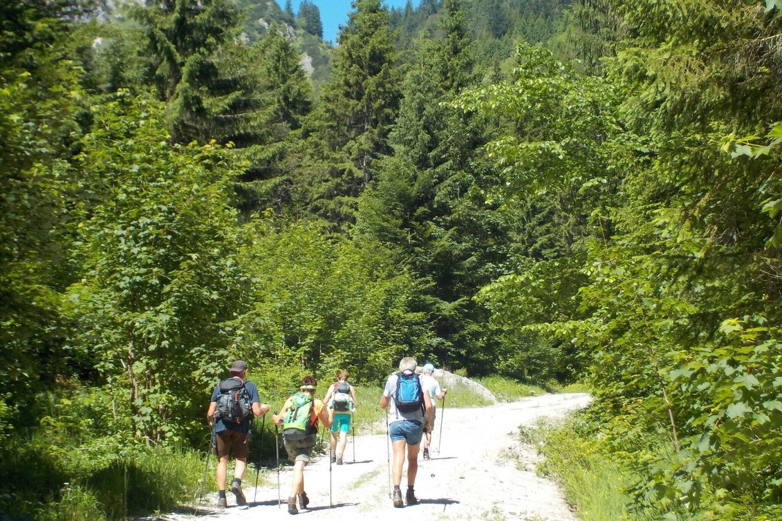 Bergtour Goss Hinterwildalpen - Touren-Impression #1 | © Tourismusverband Wildalpen