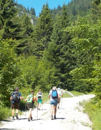 etwas Forststrasse im Aufstieg | Christian Scheucher | © Tourismusverband Wildalpen