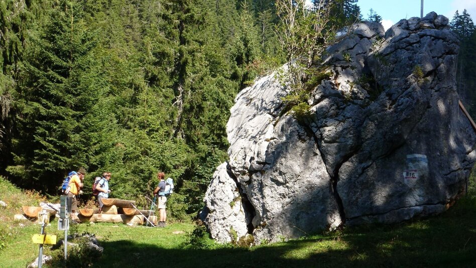 Bergtour Goss Hinterwildalpen - Touren-Impression #2.2 | © Tourismusverband Wildalpen