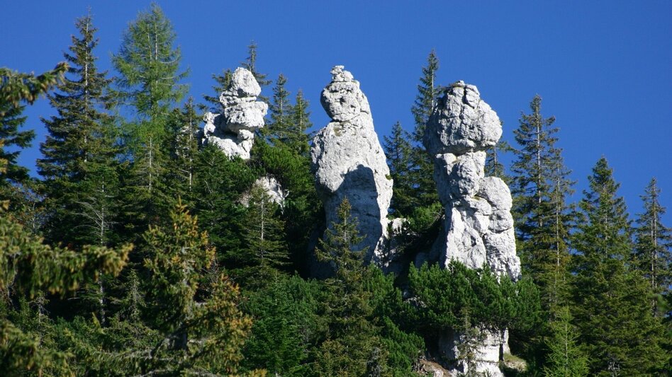 Bergtour Goss Hinterwildalpen - Touren-Impression #2.5 | © Tourismusverband Wildalpen