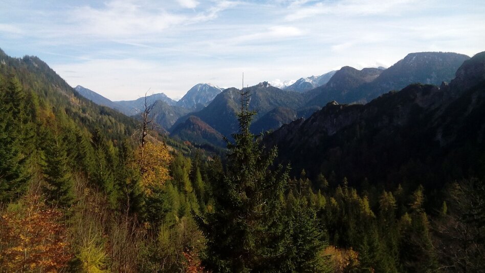 Bergtour Goss Hinterwildalpen - Touren-Impression #2.8 | © TV Gesäuse