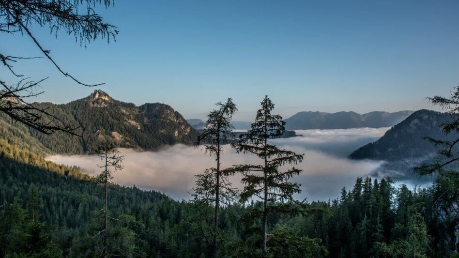 Mountain Hike Gr. Ebenstein - Sonnschienalm - Touren-Impression #2.1 | © TV Gesäuse