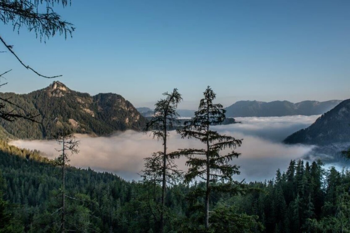 Mountain Hike Gr. Ebenstein - Sonnschienalm - Touren-Impression #1 | © TV Gesäuse