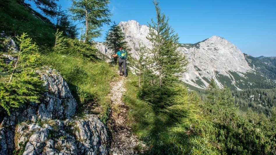 Mountain Hike Gr. Ebenstein - Sonnschienalm - Touren-Impression #2.3 | © TV Gesäuse