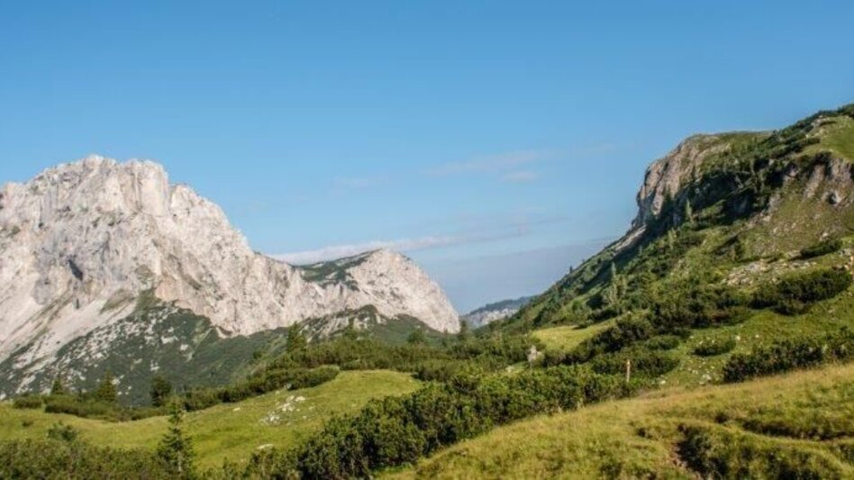 Mountain Hike Gr. Ebenstein - Sonnschienalm - Touren-Impression #2.4 | © TV Gesäuse