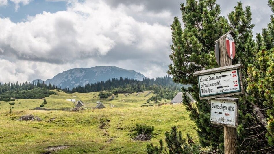 Mountain Hike Gr. Ebenstein - Sonnschienalm - Touren-Impression #2.8 | © TV Gesäuse