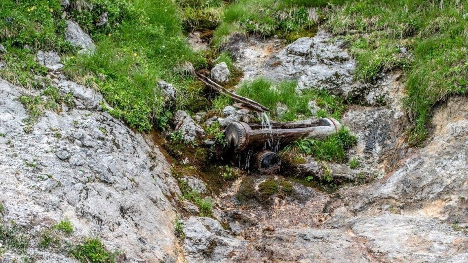 Mountain Hike Gr. Ebenstein - Sonnschienalm - Touren-Impression #2.10 | © TV Gesäuse