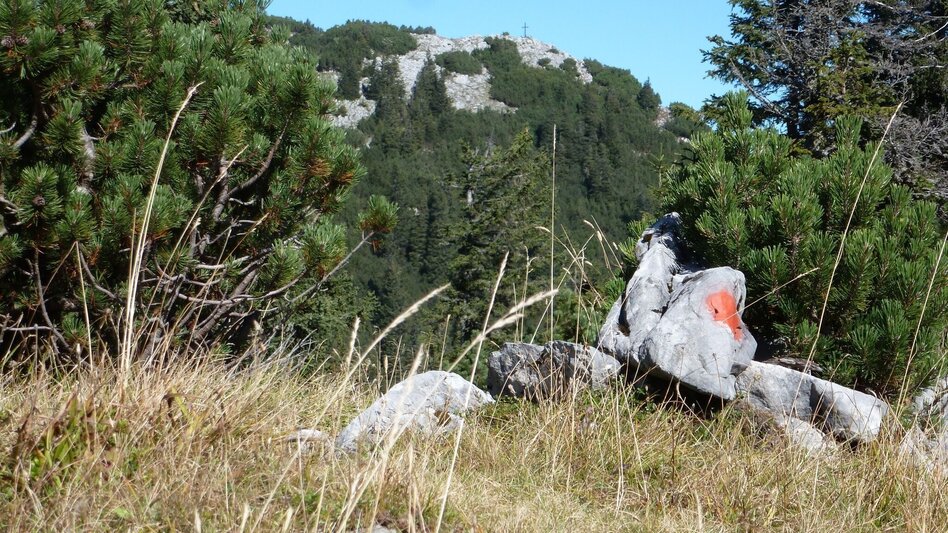 Bergtour Gr. Geiger in Hinterwildalpen - Touren-Impression #2.1 | © Tourismusverband Wildalpen