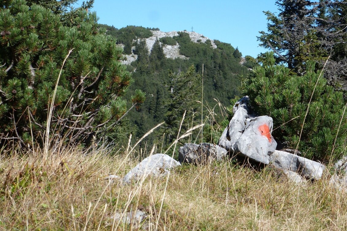 Bergtour Gr. Geiger in Hinterwildalpen - Touren-Impression #1 | © Tourismusverband Wildalpen
