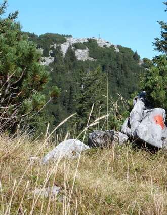 Blick zum Gipfelkreuz auf den Gr. Geiger | Christian Scheucher | © Tourismusverband Wildalpen