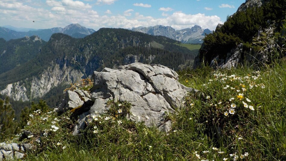 Bergtour Gr. Geiger in Hinterwildalpen - Touren-Impression #2.3 | © Tourismusverband Wildalpen