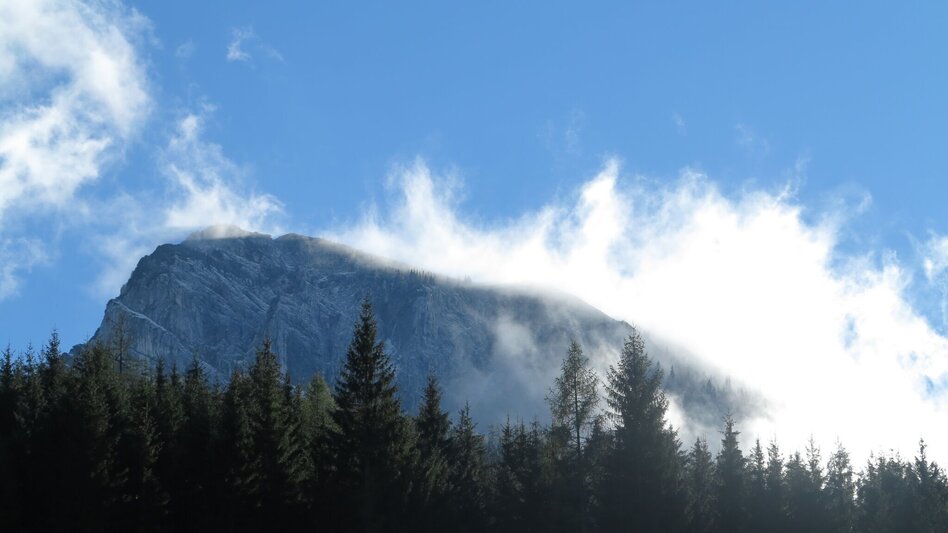 Bergtour Gr. Geiger in Hinterwildalpen - Touren-Impression #2.5 | © TV Gesäuse