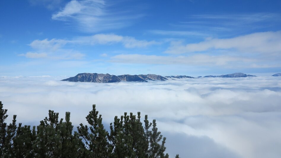 Bergtour Gr. Geiger in Hinterwildalpen - Touren-Impression #2.6 | © TV Gesäuse