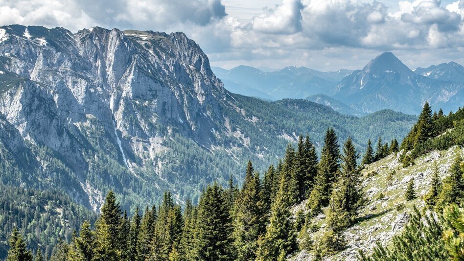 Bergtour Gr. Geiger in Hinterwildalpen - Touren-Impression #2.7 | © TV Gesäuse