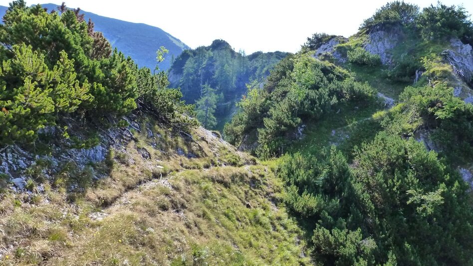 Mountain Hike Hochstadl Wildalpen - Touren-Impression #2.1 | © Tourismusverband Wildalpen