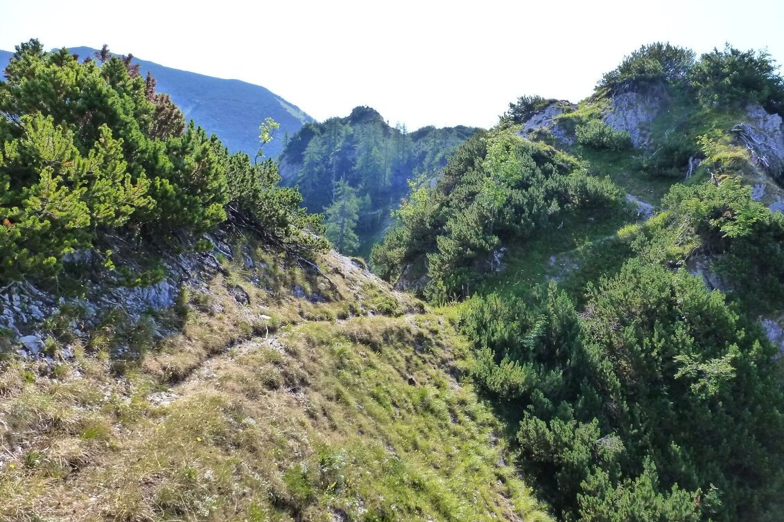 Mountain Hike Hochstadl Wildalpen - Touren-Impression #1 | © Tourismusverband Wildalpen