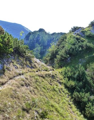 schwieriger Steig im Aufstieg | Christian Scheucher | © Tourismusverband Wildalpen