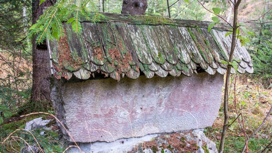 Mountain Hike Hochstadl Wildalpen - Touren-Impression #2.2 | © TV Gesäuse