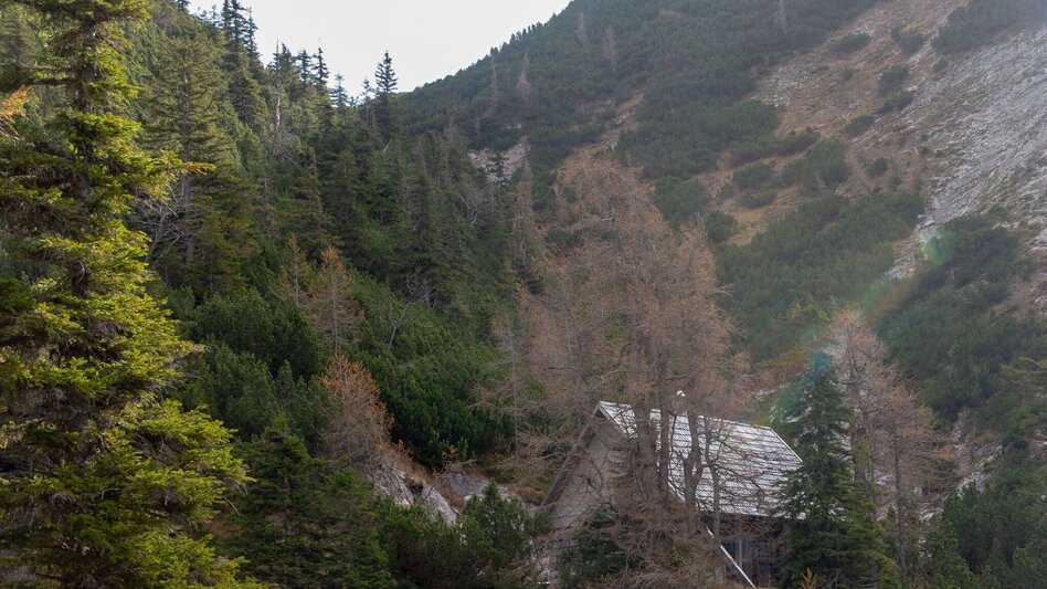 Mountain Hike Hochstadl Wildalpen - Touren-Impression #2.4 | © TV Gesäuse