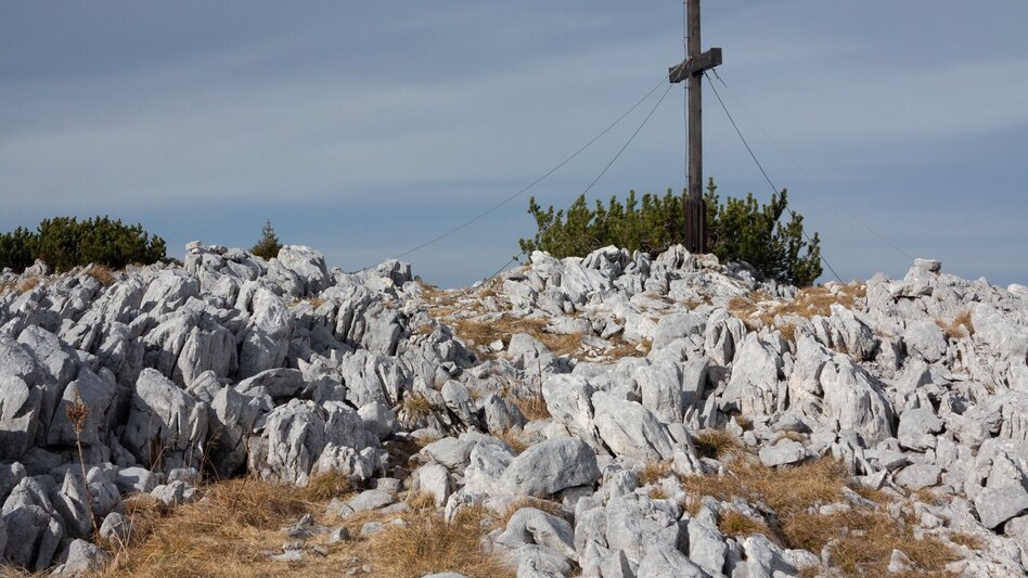 Mountain Hike Hochstadl Wildalpen - Touren-Impression #2.5 | © TV Gesäuse