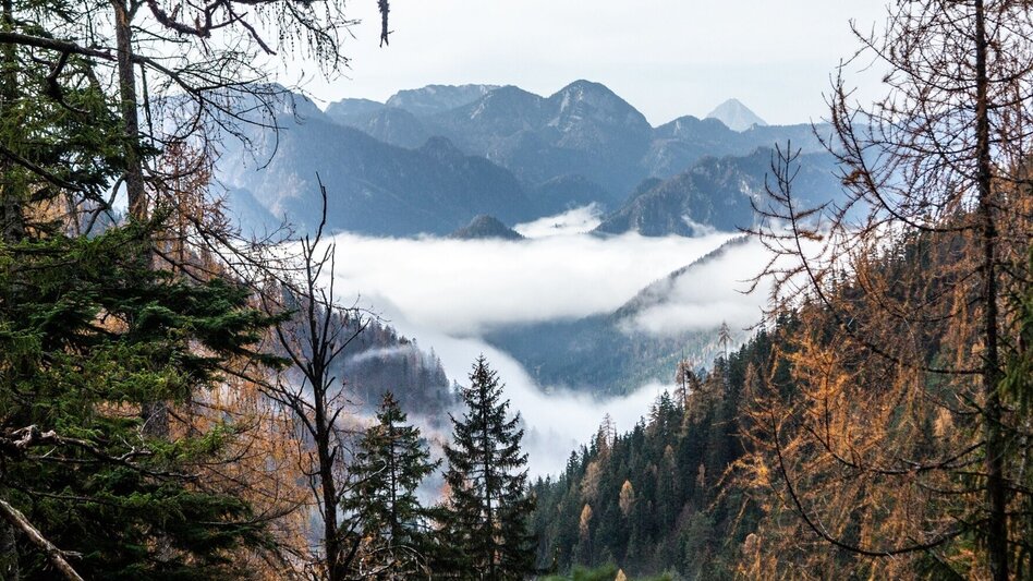 Mountain Hike Hochstadl Wildalpen - Touren-Impression #2.6 | © TV Gesäuse