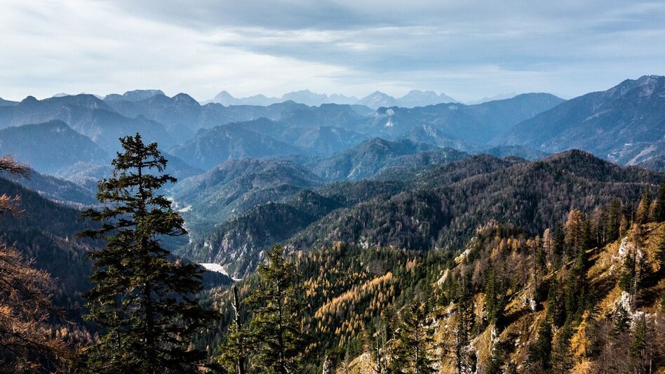 Mountain Hike Hochstadl Wildalpen - Touren-Impression #2.7 | © TV Gesäuse