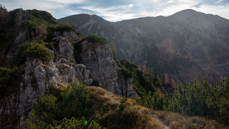 Mountain Hike Hochstadl Wildalpen - Touren-Impression #2.8 | © TV Gesäuse