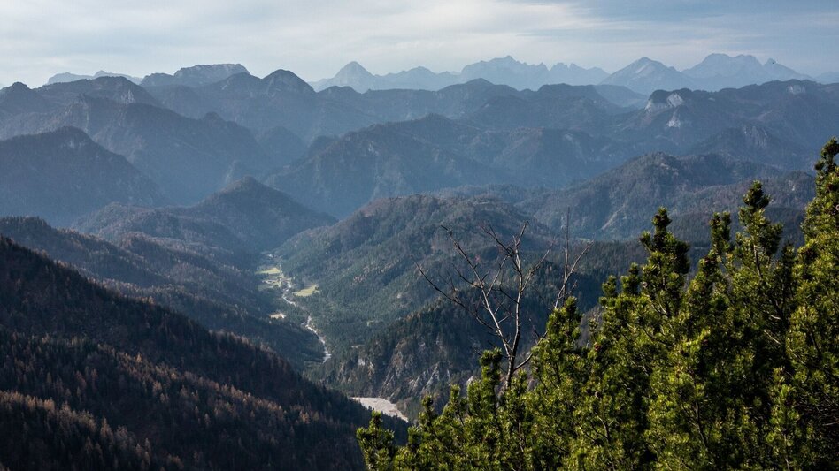 Mountain Hike Hochstadl Wildalpen - Touren-Impression #2.10 | © TV Gesäuse