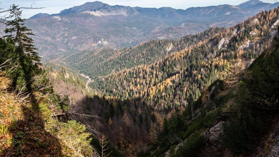 Mountain Hike Hochstadl Wildalpen - Touren-Impression #2.11 | © TV Gesäuse