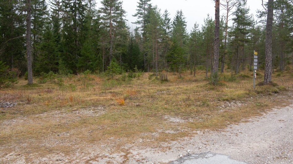 Mountain Hike Hochstadl Wildalpen - Touren-Impression #2.12 | © TV Gesäuse