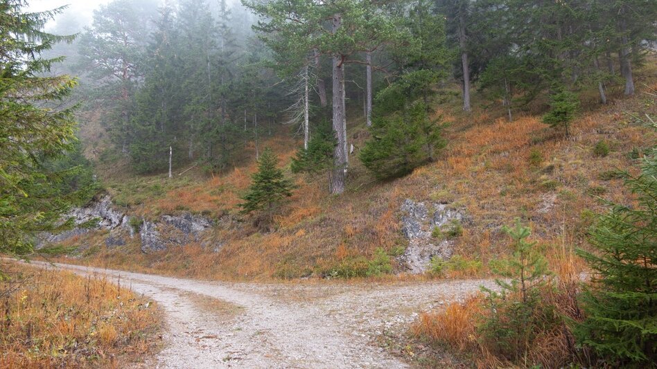 Mountain Hike Hochstadl Wildalpen - Touren-Impression #2.13 | © TV Gesäuse