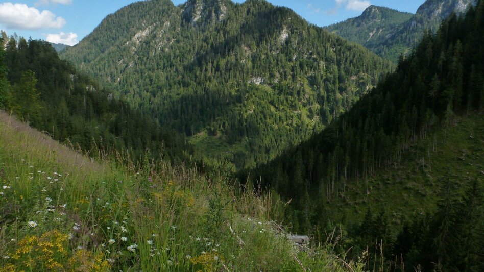 Hiking route High  Trail Wildalpen - Hinterwildalpen - Touren-Impression #2.1 | © Tourismusverband Wildalpen